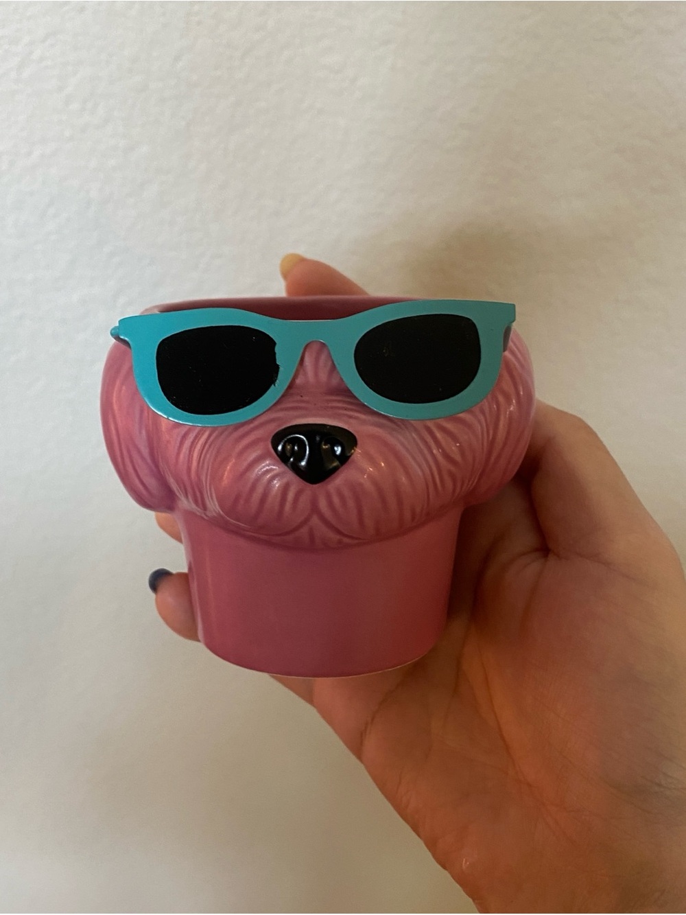 Trader Joe’s Cute Dog Planter Pot 2-3” summer sunglasses dog home decor